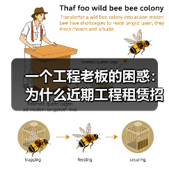 一个工程老板的困惑:为什么近期工程租赁招标流标越来越频繁?(图3) 一个工程老板的困惑:为什么近期工程租赁招标流标越来越频繁?(图3)