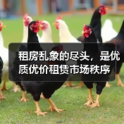租房乱象的尽头,是优质优价租赁市场秩序(图3) 租房乱象的尽头,是优质优价租赁市场秩序(图3)