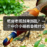 租房市场越来越乱?一个中介小哥教会我什么叫优质优价租赁市场秩序(图2) 租房市场越来越乱?一个中介小哥教会我什么叫优质优价租赁市场秩序(图2)