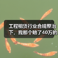 工程租赁行业合规整治下，我那个赔了40万