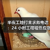 半夜工地打来求救电话：24 小时工程租赁应急响应到底靠不靠谱？(图2)