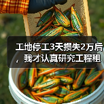 工地停工3天损失2万后，我才认真研究工程租赁就近调度服务 - 天诚一站式工程设备租赁