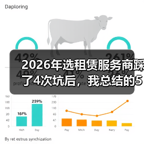 2026年选租赁服务商踩了4次坑后，我总结的5条正规租赁服务 - 天诚一站式工程设备租赁
