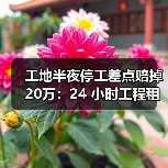 工地半夜停工差点赔掉20万:24 小时工程租赁应急响应到底有多重要(图2) 工地半夜停工差点赔掉20万:24 小时工程租赁应急响应到底有多重要(图2)
