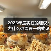 2026年最实在的建议：为什么你需要一站式设备租赁托管服务(图4)