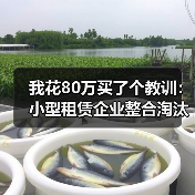 我花80万买了个教训:小型租赁企业整合淘汰正在加速(图4) 我花80万买了个教训:小型租赁企业整合淘汰正在加速(图4)