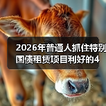 2026年普通人抓住特别国债租赁项目利好的4个实操思路(图4) 2026年普通人抓住特别国债租赁项目利好的4个实操思路(图4)
