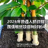 2026年普通人抓住特别国债租赁项目利好