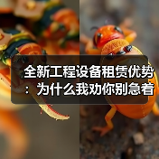 全新工程设备租赁优势：为什么我劝你别急着掏钱买设备(图4)