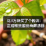 花3万块买了个教训：正规租赁服务商筛选标准到底看什么(图3)