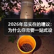 2026年最实在的建议：为什么你需要一站