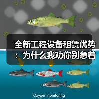 全新工程设备租赁优势:为什么我劝你别急着掏钱买(图2) 全新工程设备租赁优势:为什么我劝你别急着掏钱买(图2)