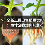全新工程设备租赁优势:为什么我劝你别急着掏钱买(图3) 全新工程设备租赁优势:为什么我劝你别急着掏钱买(图3)