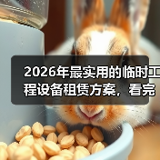 2026年最实用的临时工程设备租赁方案,看完少走3年弯路(图4) 2026年最实用的临时工程设备租赁方案,看完少走3年弯路(图4)