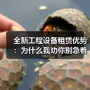 全新工程设备租赁优势:为什么我劝你别急着掏钱买(图4) 全新工程设备租赁优势:为什么我劝你别急着掏钱买(图4)