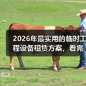 2026年最实用的临时工程设备租赁方案,看完少走3年弯路(图2) 2026年最实用的临时工程设备租赁方案,看完少走3年弯路(图2)