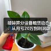 破碎筛分设备租赁动态:从月亏20万到利润翻倍的3个关键决定(图1) 破碎筛分设备租赁动态:从月亏20万到利润翻倍的3个关键决定(图1)
