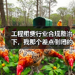 工程租赁行业合规整治下，我那个差点倒闭的客户(图3)