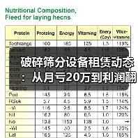 破碎筛分设备租赁动态:从月亏20万到利润翻倍的3个关键决定(图3) 破碎筛分设备租赁动态:从月亏20万到利润翻倍的3个关键决定(图3)