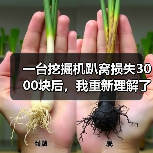 一台挖掘机趴窝损失3000块后，我重新理解了租赁设备日常检修 - 玄熵一站式工程设备租赁