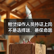 租赁操作人员持证上岗不是选择题,是保命题(图4) 租赁操作人员持证上岗不是选择题,是保命题(图4)