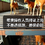 租赁操作人员持证上岗不是选择题,是保命题(图2) 租赁操作人员持证上岗不是选择题,是保命题(图2)