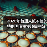 2026年普通人抓不住的特别国债租赁项目利好,其实就藏在三个细节里(图2) 2026年普通人抓不住的特别国债租赁项目利好,其实就藏在三个细节里(图2)