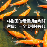特别国债租赁项目利好背后:一个让我损失几十万的误判(图3) 特别国债租赁项目利好背后:一个让我损失几十万的误判(图3)