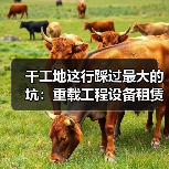 干工地这行踩过最大的坑:重载工程设备租赁服务(图1) 干工地这行踩过最大的坑:重载工程设备租赁服务(图1)