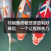 特别国债租赁项目利好背后：一个让我损失几