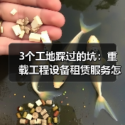 3个工地踩过的坑:重载工程设备租赁服务怎么选才不亏(图2) 3个工地踩过的坑:重载工程设备租赁服务怎么选才不亏(图2)