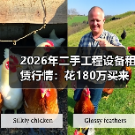 2026年二手工程设备租赁行情:花180万买来的3个教训(图3) 2026年二手工程设备租赁行情:花180万买来的3个教训(图3)