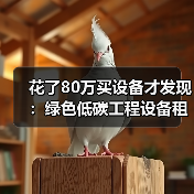 花了80万买设备才发现:绿色低碳工程设备租赁才是真省钱(图3) 花了80万买设备才发现:绿色低碳工程设备租赁才是真省钱(图3)