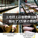 工地赶工设备租赁加急，我花了3万块才搞明白的5个真相(图1)