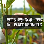 包工头老张急得一夜没睡：近期工程租赁租金上涨到底有多疯？(图2)