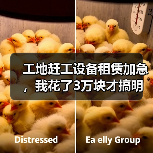 工地赶工设备租赁加急，我花了3万块才搞明白的5个真相(图2)