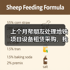 上个月帮朋友处理地铁项目设备租赁采购，我发现大多数人都想错了(图4)