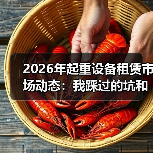 2026年起重设备租赁市场动态：我踩过的坑和看清的路(图2)