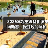 2026年起重设备租赁市场动态：我踩过的坑和看清的路(图4)