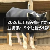 2026年工程设备租赁行业资讯：5个让我少赔80万的血泪教训(图4)