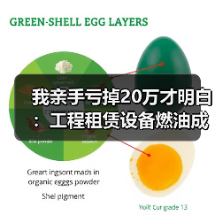 我亲手亏掉20万才明白：工程租赁设备燃油成本这么管最有效(图2)