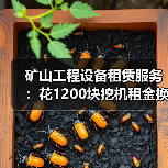 矿山工程设备租赁服务：花1200块挖机租金换来的3个教训(图2)