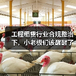 工程租赁行业合规整治下，小老板们该醒醒了(图3)