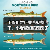 工程租赁行业合规整治下，小老板们该醒醒了(图2)