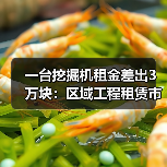 一台挖掘机租金差出3万块：区域工程租赁市场差异到底有多大(图3)
