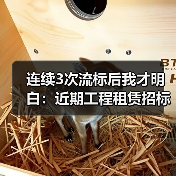 连续3次流标后我才明白：近期工程租赁招标流标是个危险信号(图4)