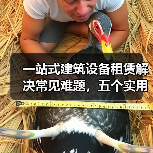 一站式建筑设备租赁解决常见难题,五个实用方法必看(图4) 一站式建筑设备租赁解决常见难题,五个实用方法必看(图4)