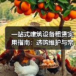 一站式建筑设备租赁实用指南:选购维护与常见问题解析2026(图4) 一站式建筑设备租赁实用指南:选购维护与常见问题解析2026(图4)