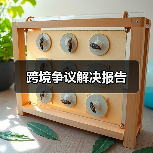 跨境争议解决报告(图2) 跨境争议解决报告(图2)