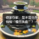 你家存款,是不是也在悄悄“慢性失血”?——聊聊家庭投资理财那些看不见的风险(图2) 你家存款,是不是也在悄悄“慢性失血”?——聊聊家庭投资理财那些看不见的风险(图2)